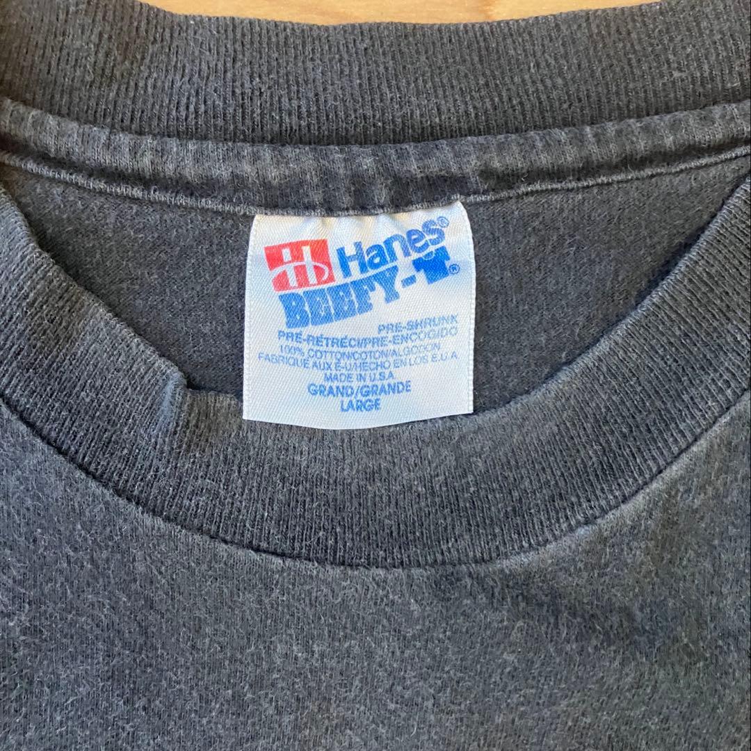 90s USA製 San Diego Zoo イグアナ アート Tシャツ