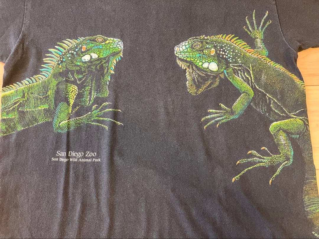 90s USA製 San Diego Zoo イグアナ アート Tシャツ