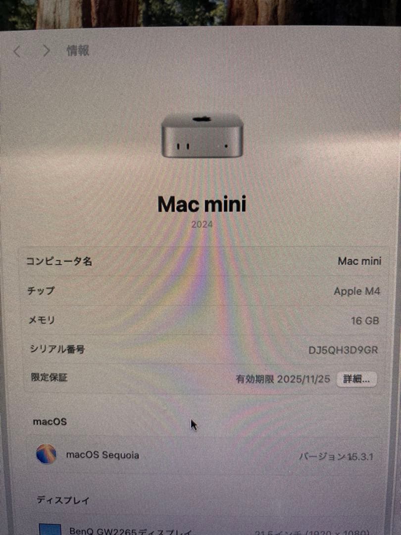 Macデスクトップ Apple Mac mini M4