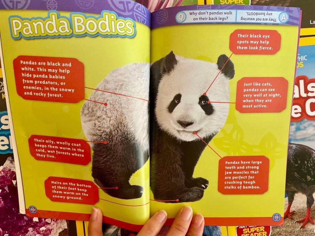 National Geographic Kids L2/41冊 英語絵本 洋書