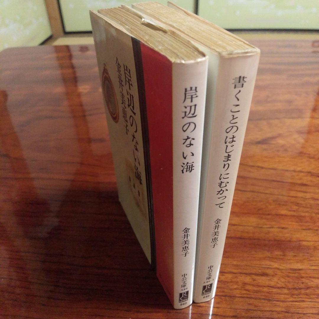 金井美恵子中公文庫2冊セットです。