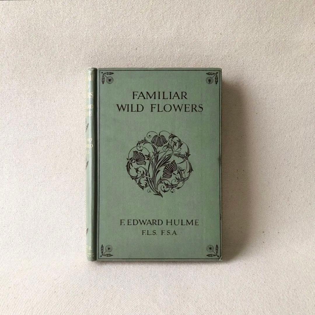 1910年 イギリスの希少な植物図鑑 FWF2 アンティーク