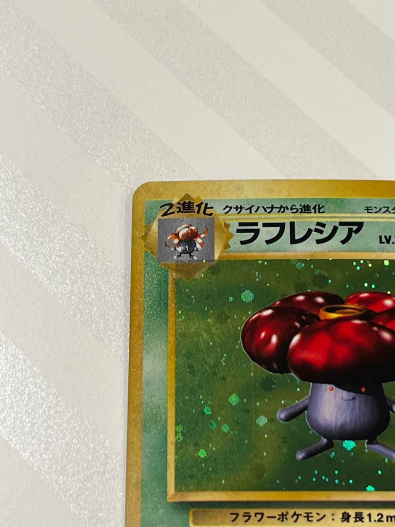 【旧裏】美品ラフレシア　早い者勝ち