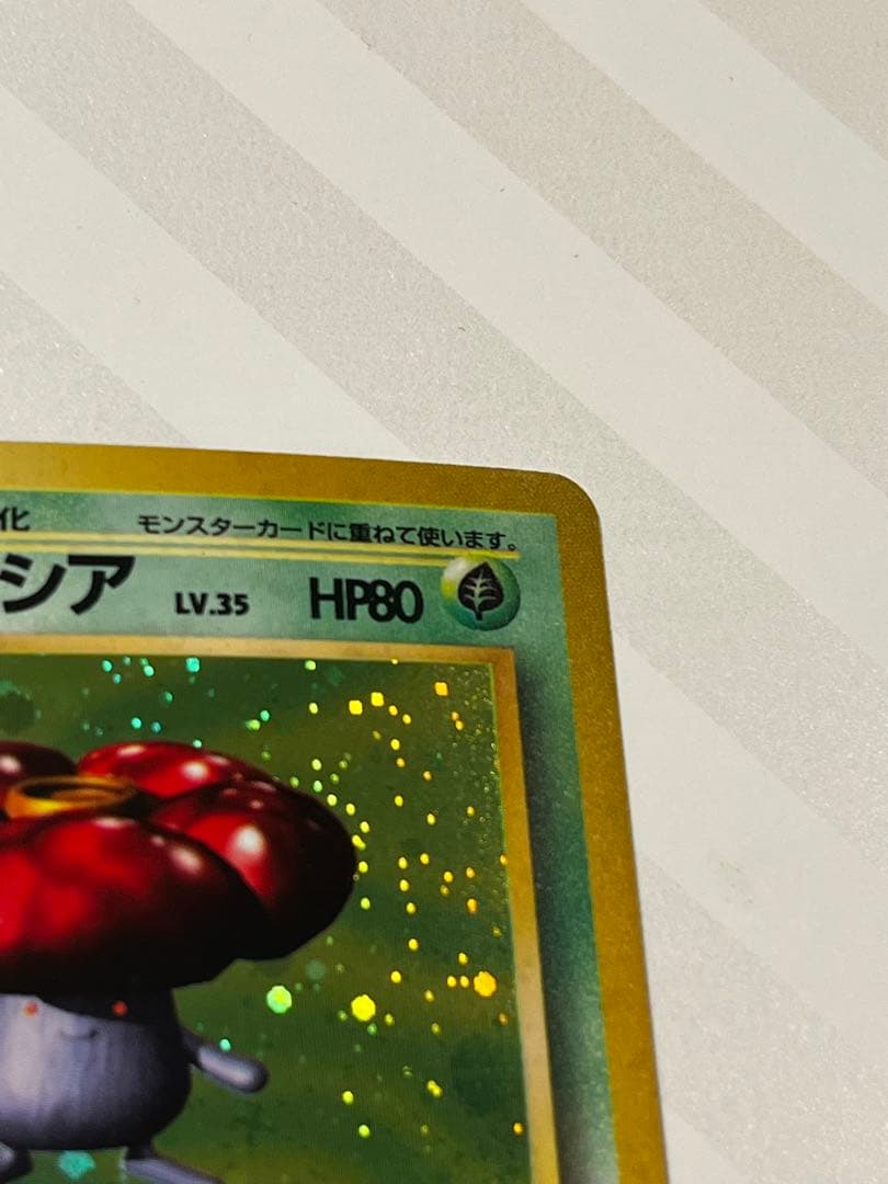 【旧裏】美品ラフレシア　早い者勝ち