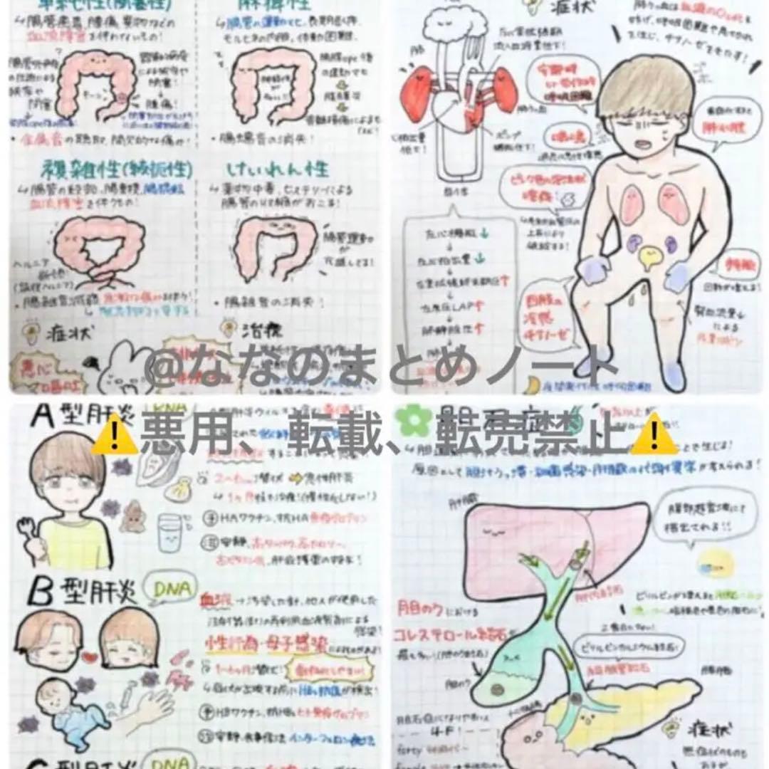 【A4サイズ】解剖生理+重要項目+頻出疾患まとめノート 3セット