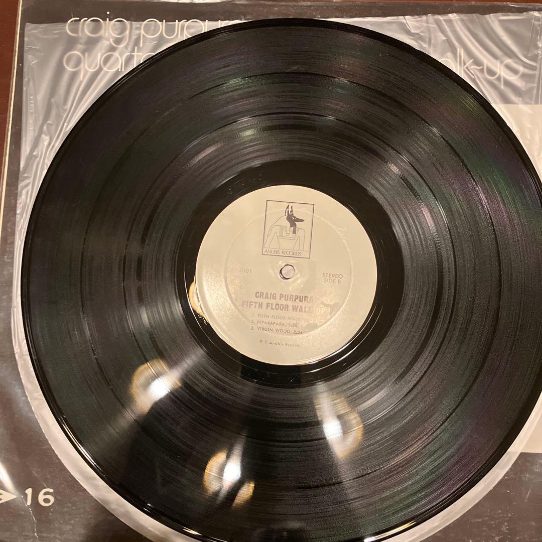 Craig Purpura Fifth Floor Walk-Up レコード