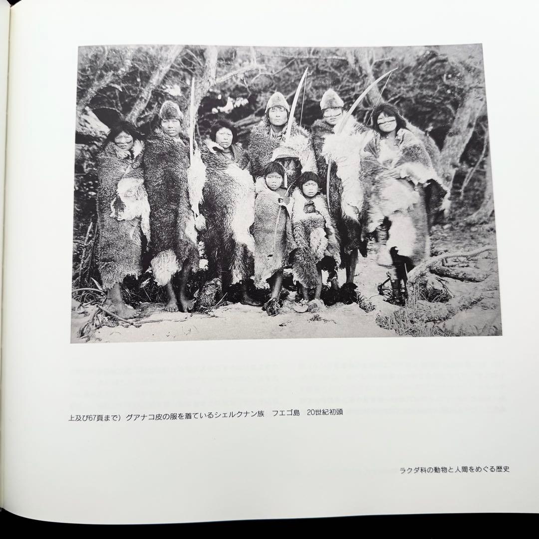 「アンデスの宝 - その貴き動物たち 第1巻」南米のリャマ, アルパカ 専門書