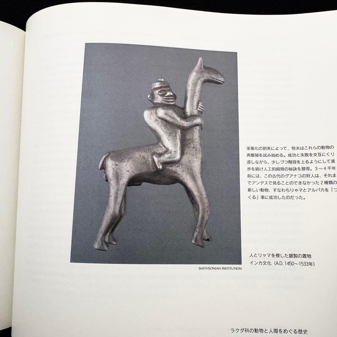 「アンデスの宝 - その貴き動物たち 第1巻」南米のリャマ, アルパカ 専門書