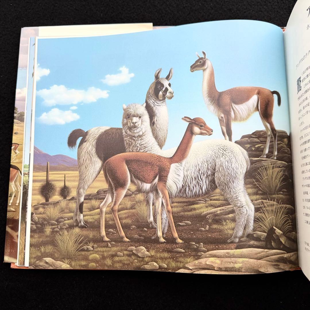 「アンデスの宝 - その貴き動物たち 第1巻」南米のリャマ, アルパカ 専門書
