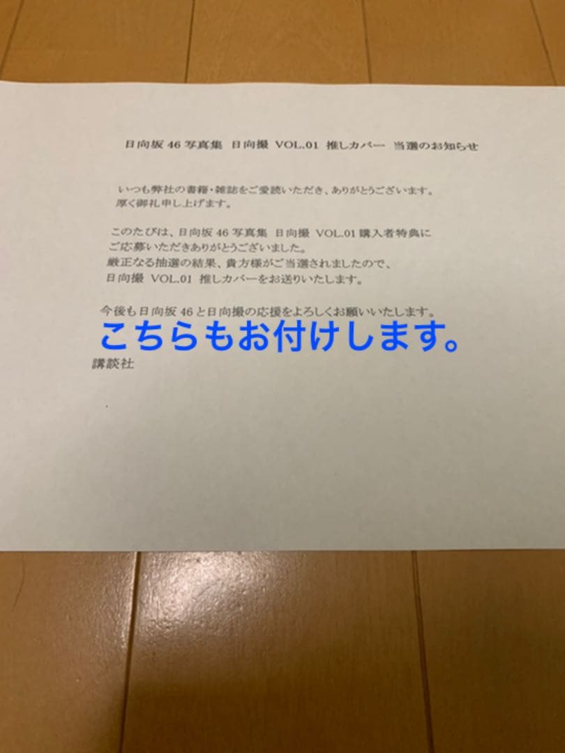 日向撮　推しカバー　東村芽依　芽依撮