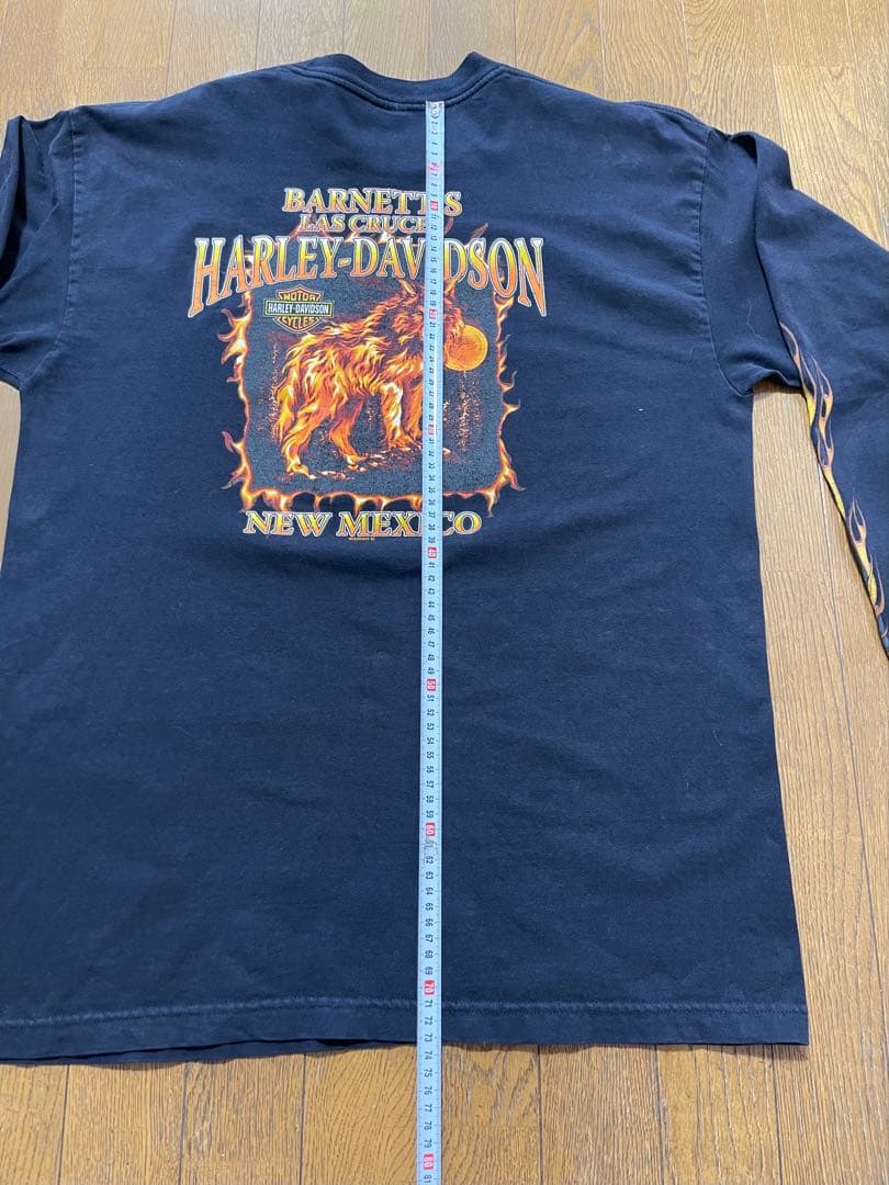 T*A様 Harley-Davidson Flame Wolf 00s Tシャツ