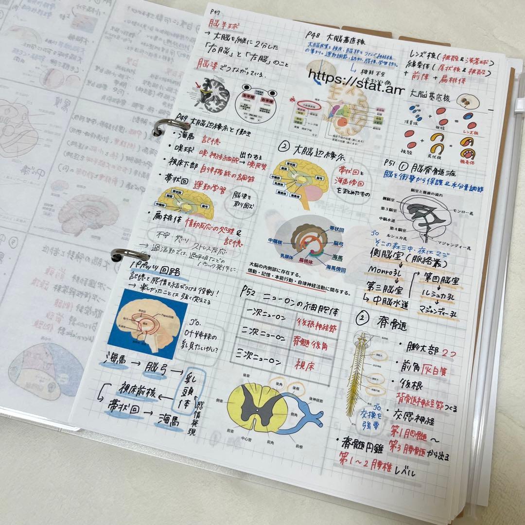 最新 2026 作業療法士 国家資格 必修ポイント セット まとめノート付き