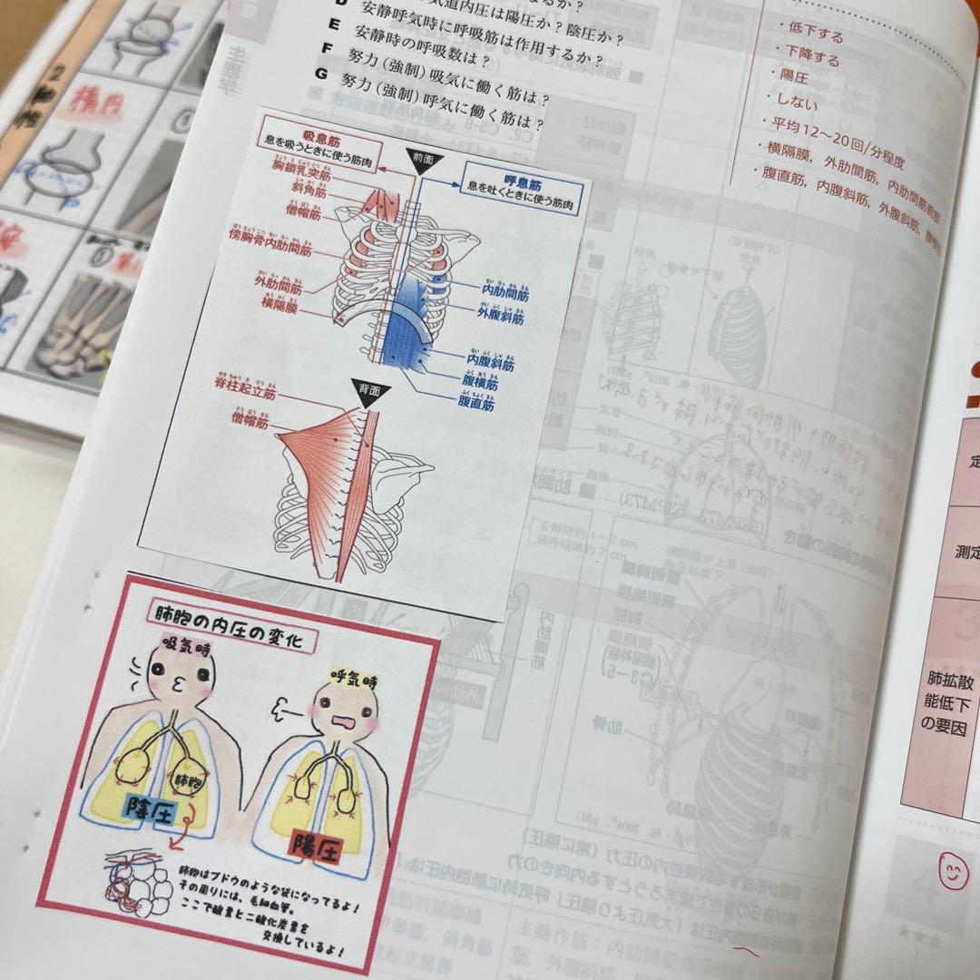 最新 2026 作業療法士 国家資格 必修ポイント セット まとめノート付き