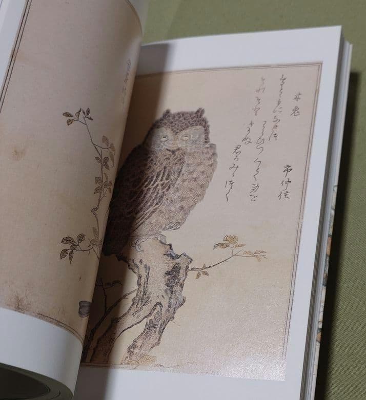 歌麿『画本虫撰』『百千鳥狂歌合』『潮干のつと』
