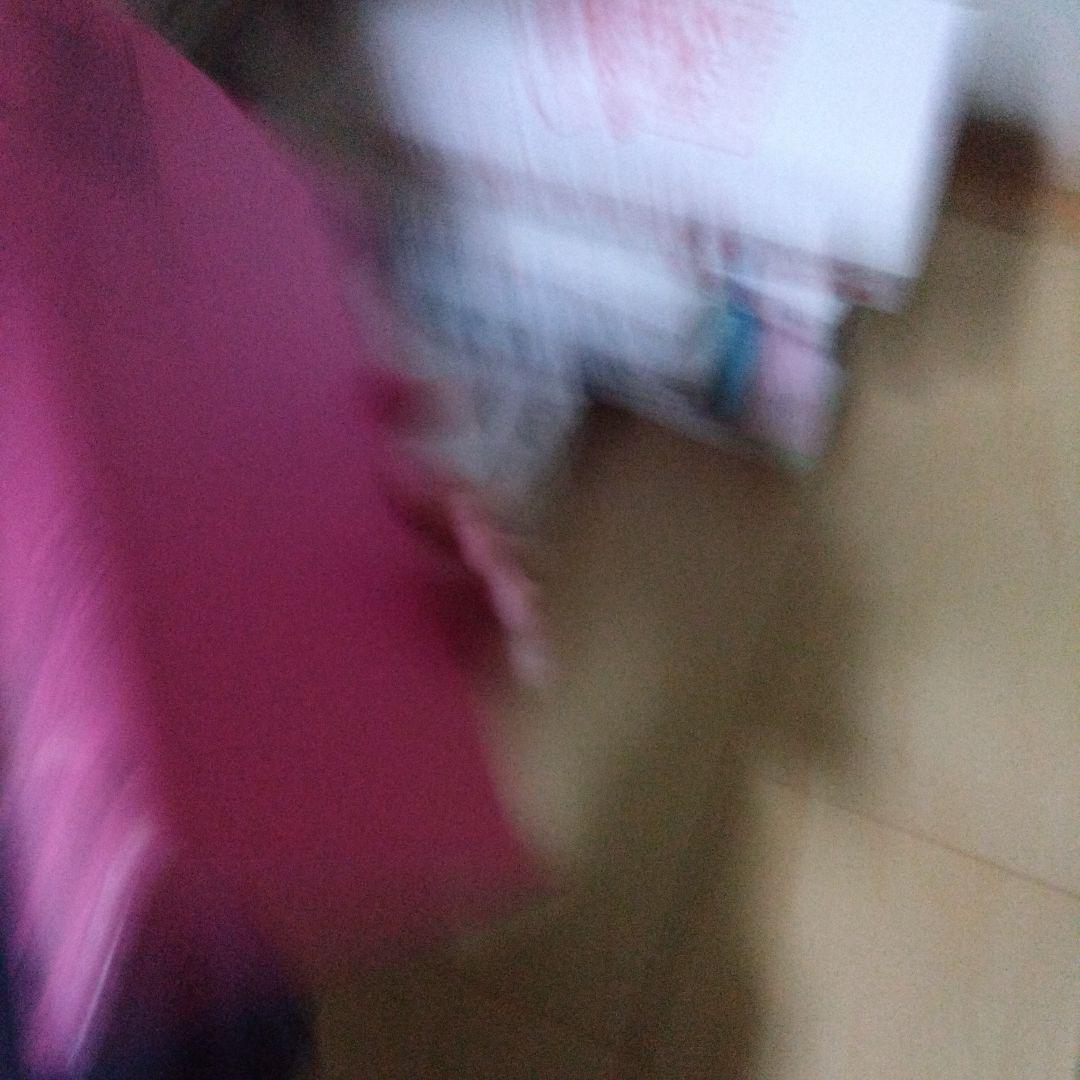 文学理論