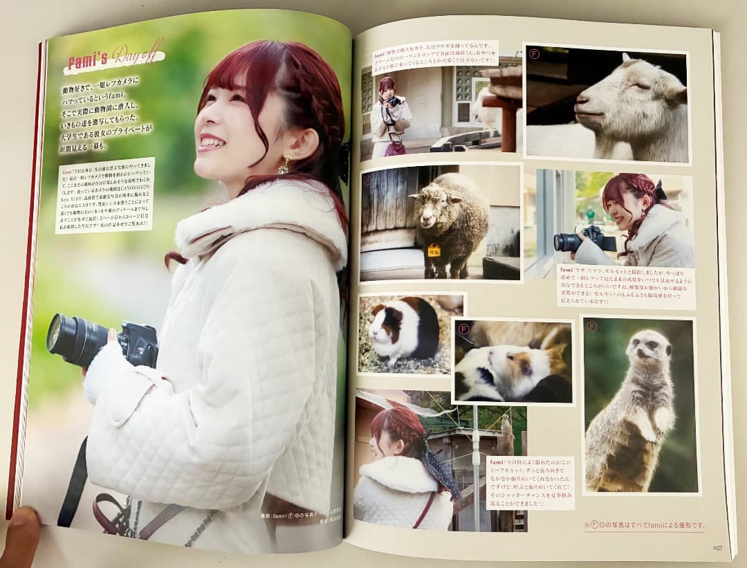 THE BOOK OF LOVEBITES（ザ ブック オブ ラブバイツ／新品）