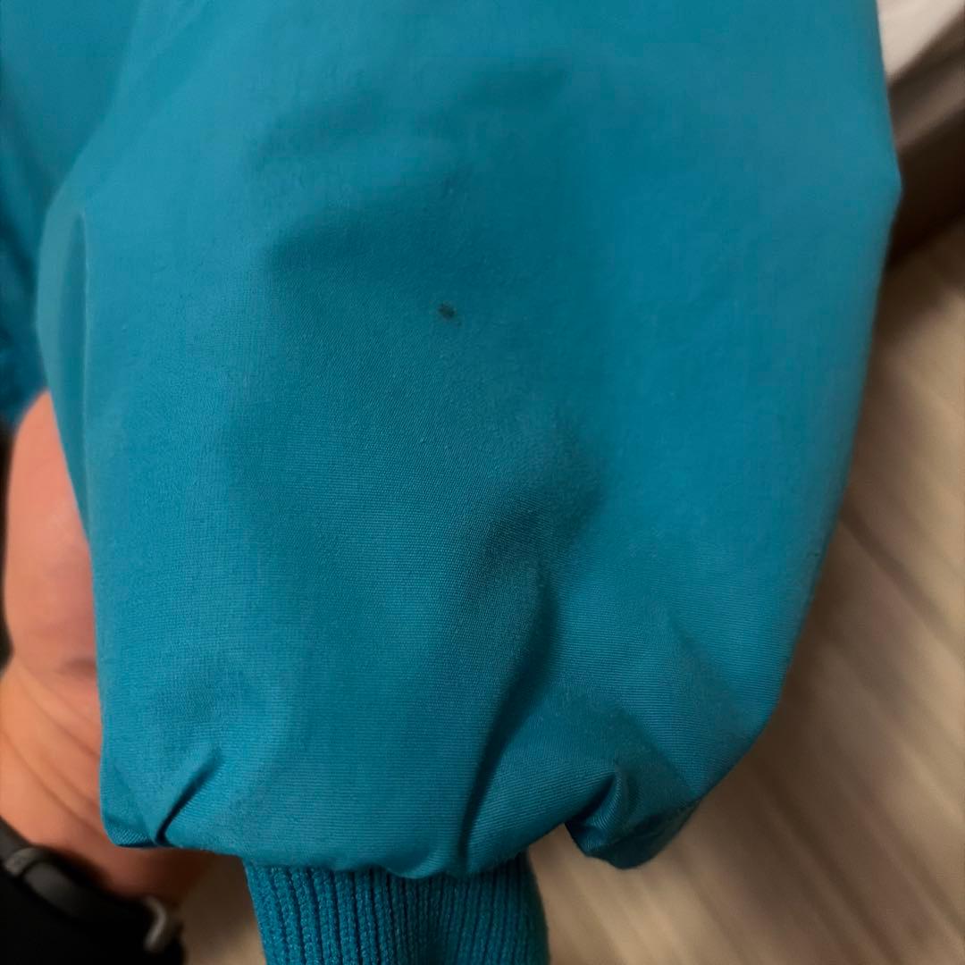 patagonia フリース裏地 ジャケット M 青