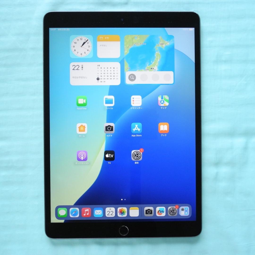 iPad Air3　新品ペン付き