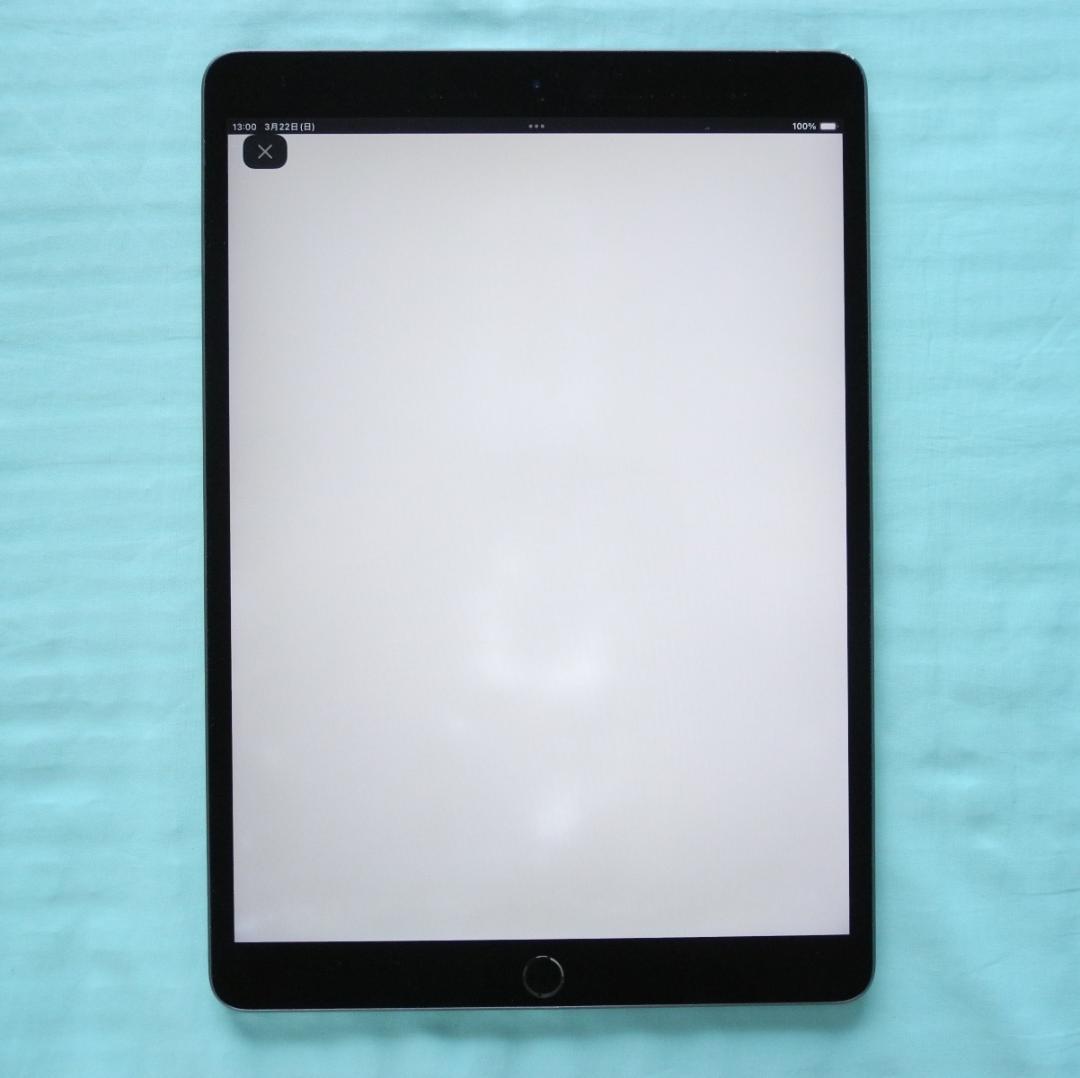 iPad Air3　新品ペン付き