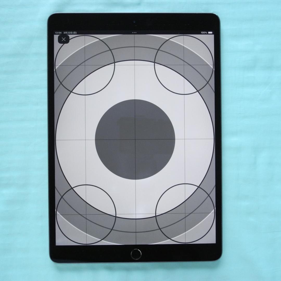 iPad Air3　新品ペン付き
