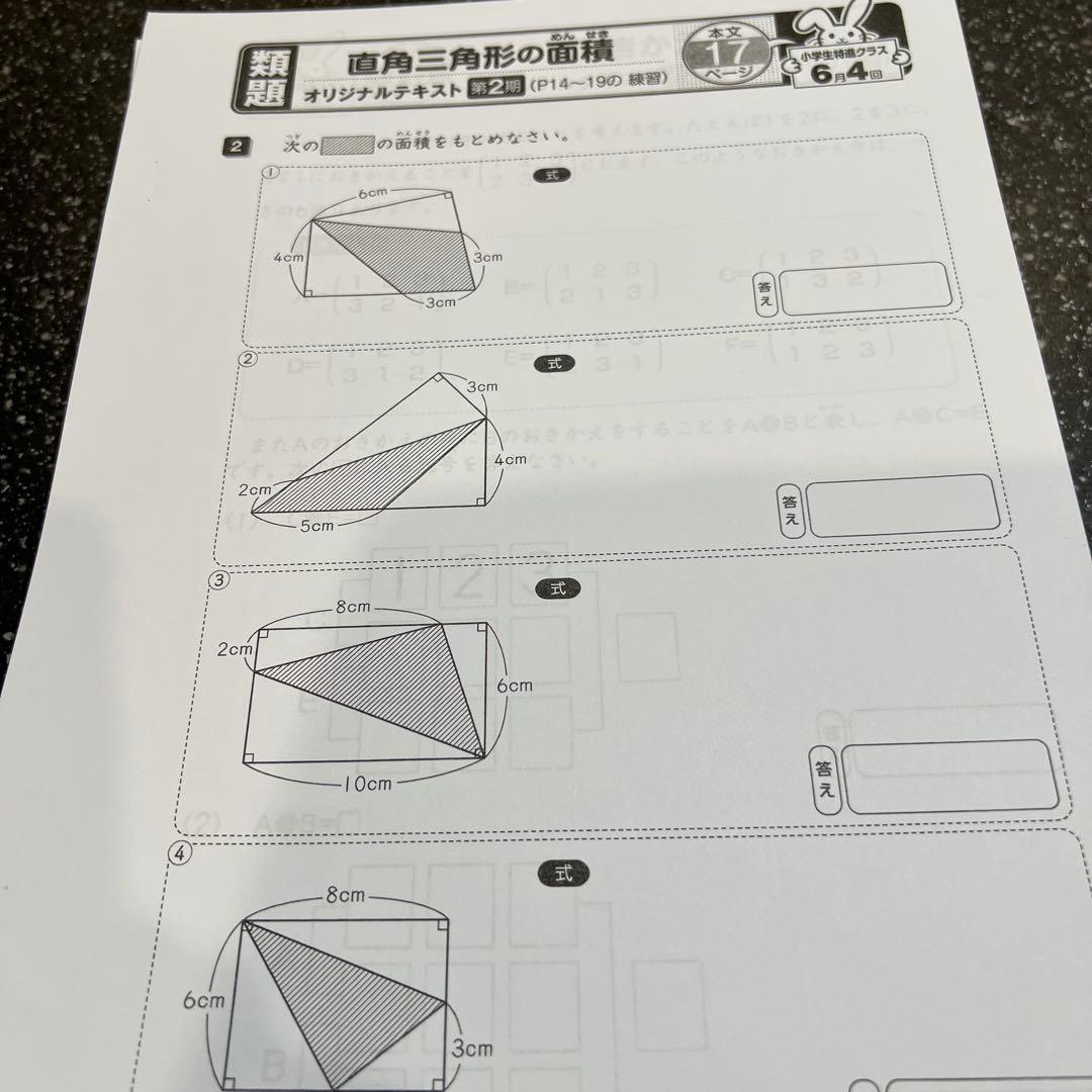 しょうがく社　毎日の復習プリント　3年生