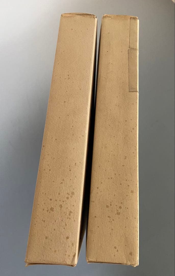 モジリアーニ画集2冊組　洋書
