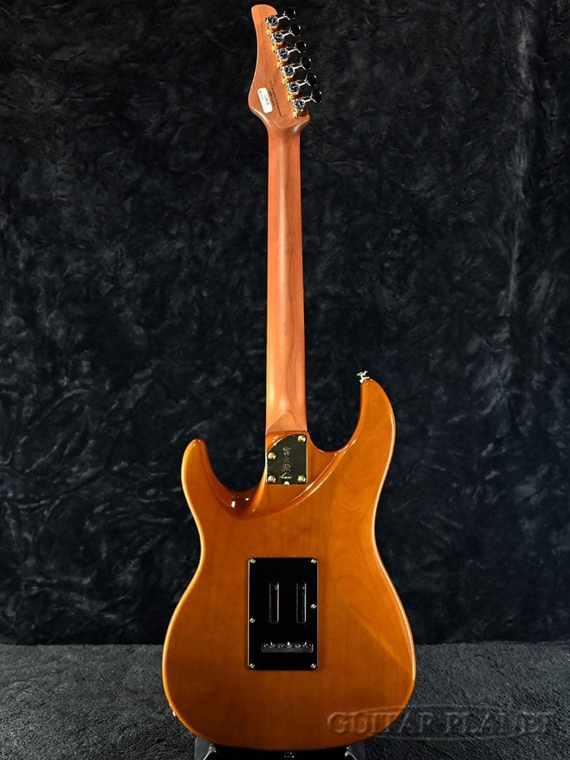 FgN(FUJIGEN) EOS2-EW1-RM/HCB 新品