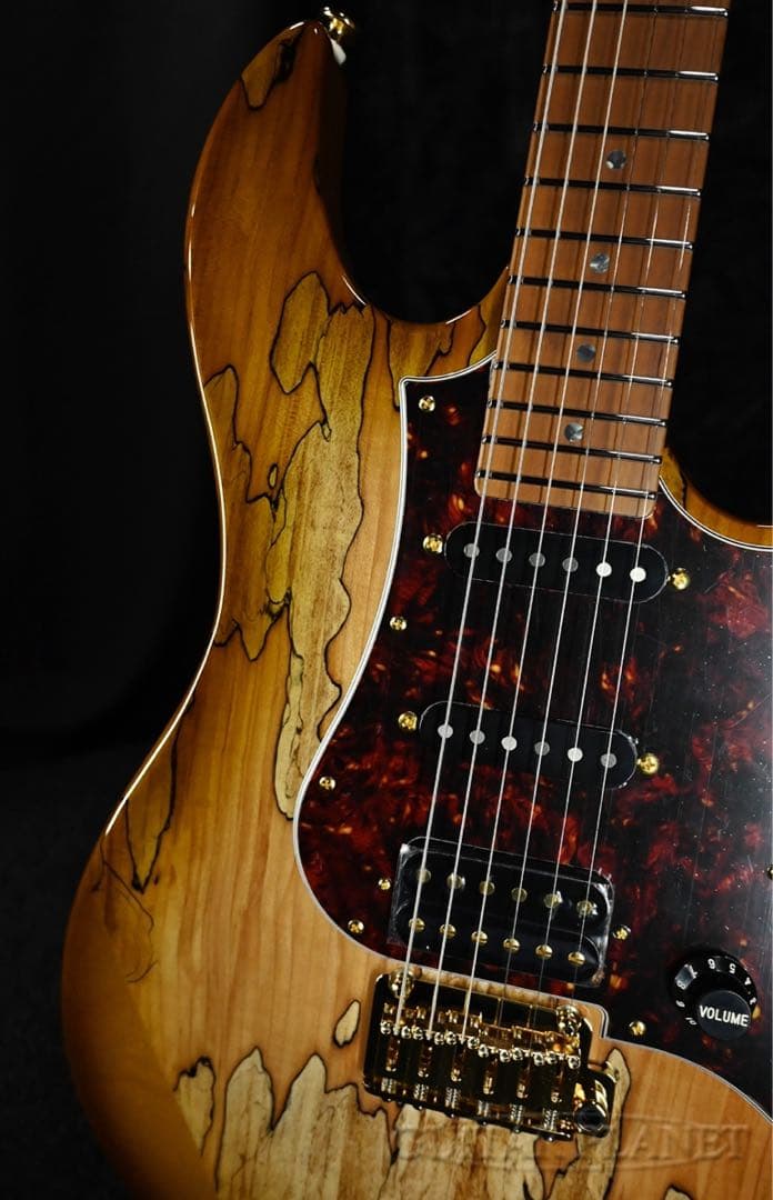FgN(FUJIGEN) EOS2-EW1-RM/HCB 新品