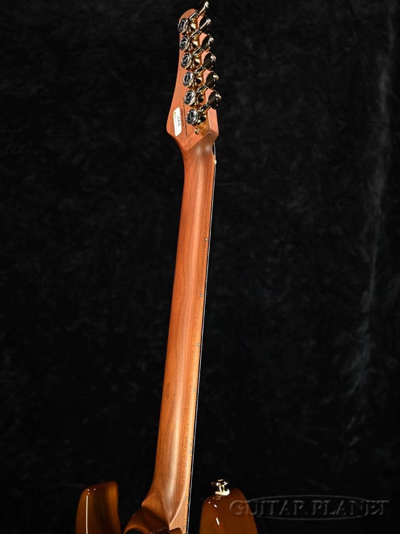 FgN(FUJIGEN) EOS2-EW1-RM/HCB 新品