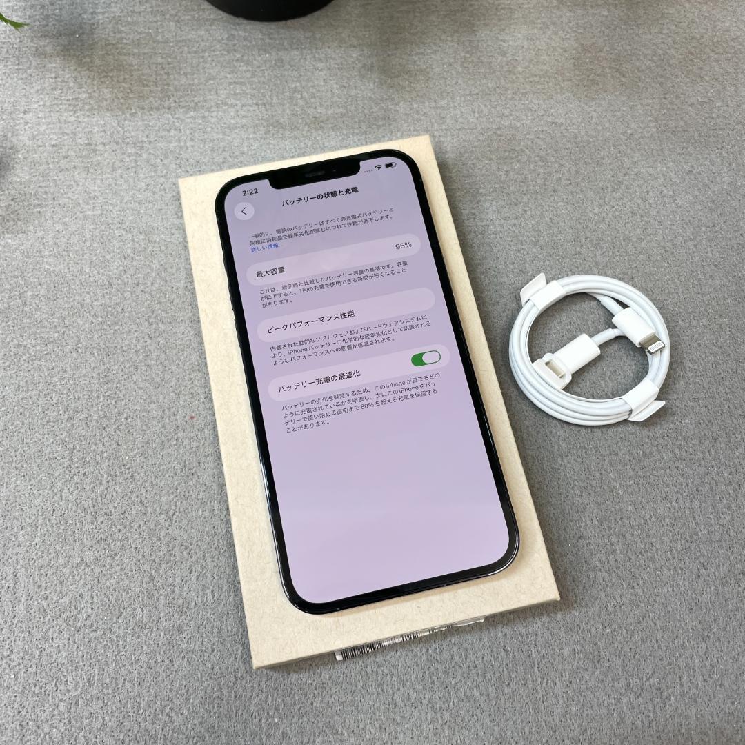 iPhone12 Pro Max 256Gb ブルー 国内SIMフリー 送料無料