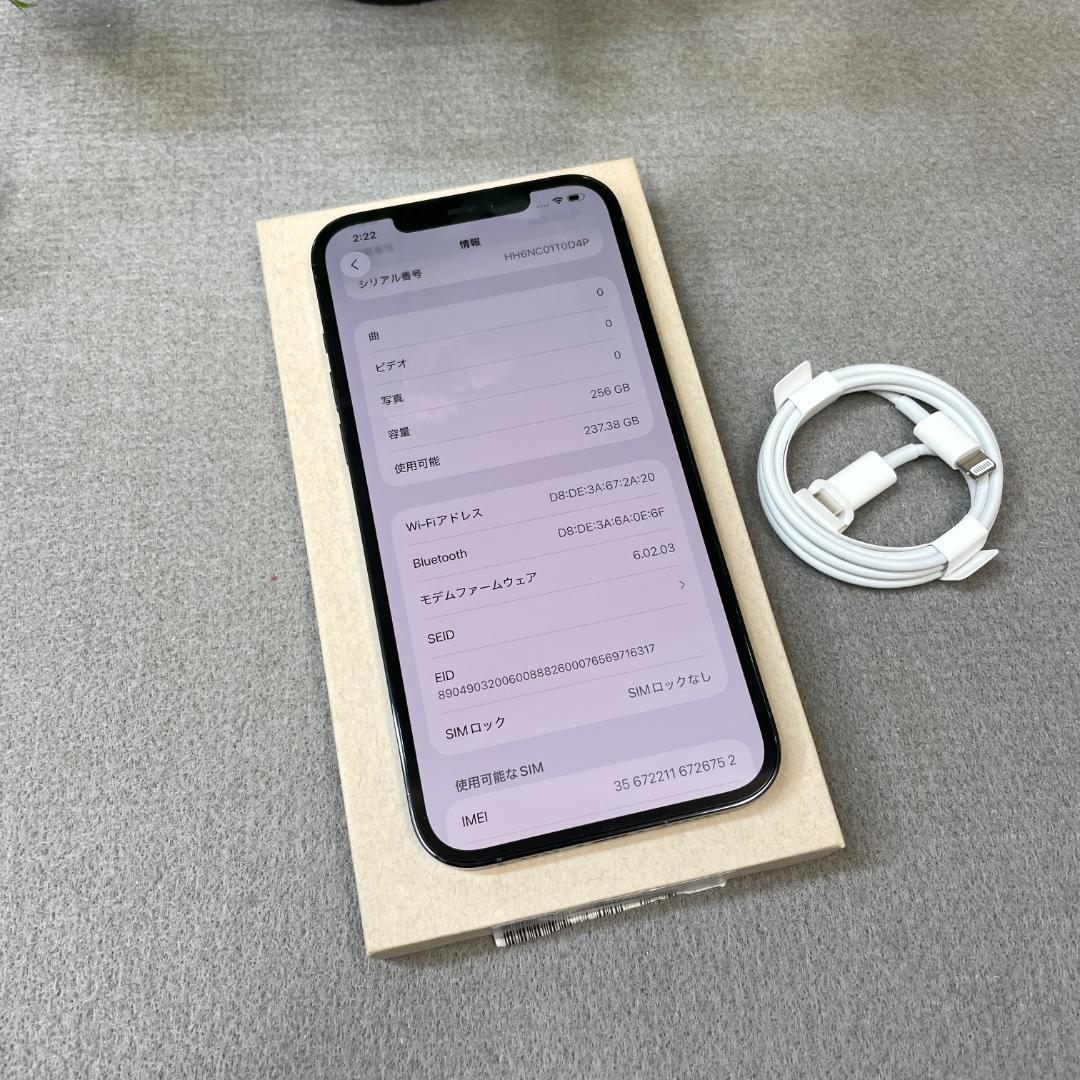 iPhone12 Pro Max 256Gb ブルー 国内SIMフリー 送料無料