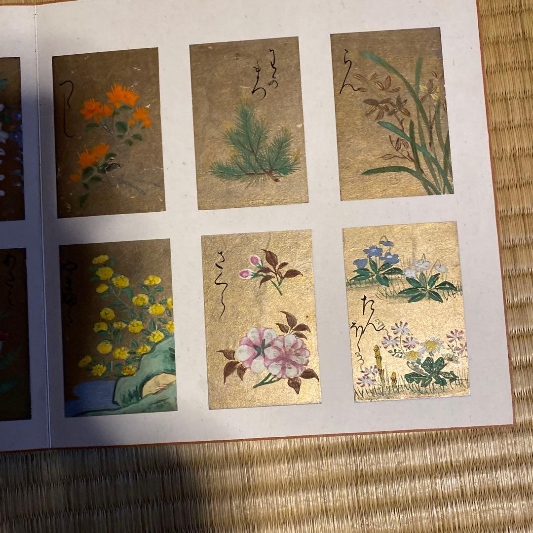 花の彩箋