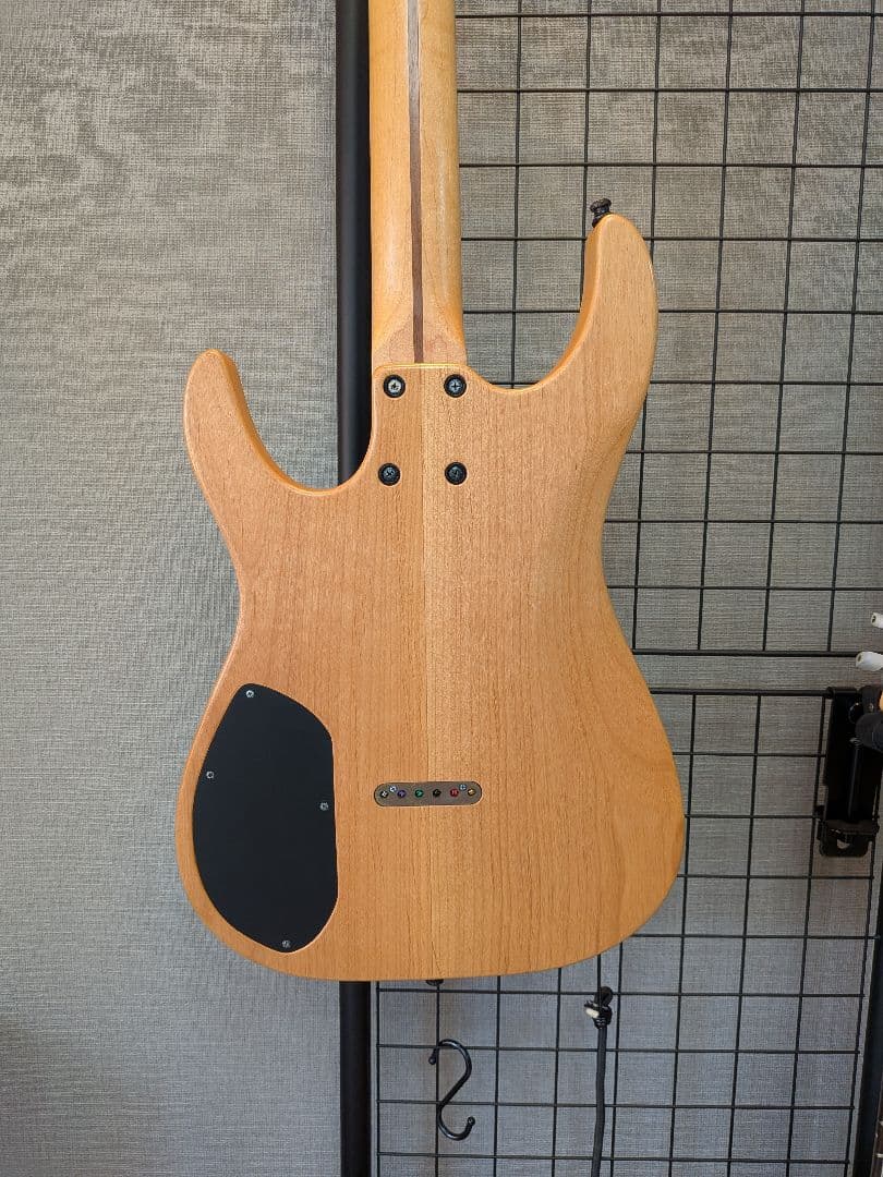 ギター Dragonfly Sottile 666 custom