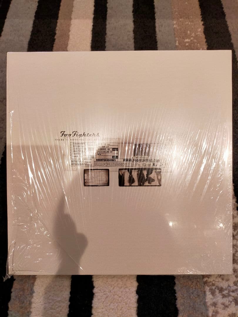 【セット売り重量盤再発2LP】FOO FIGHTERS レコード