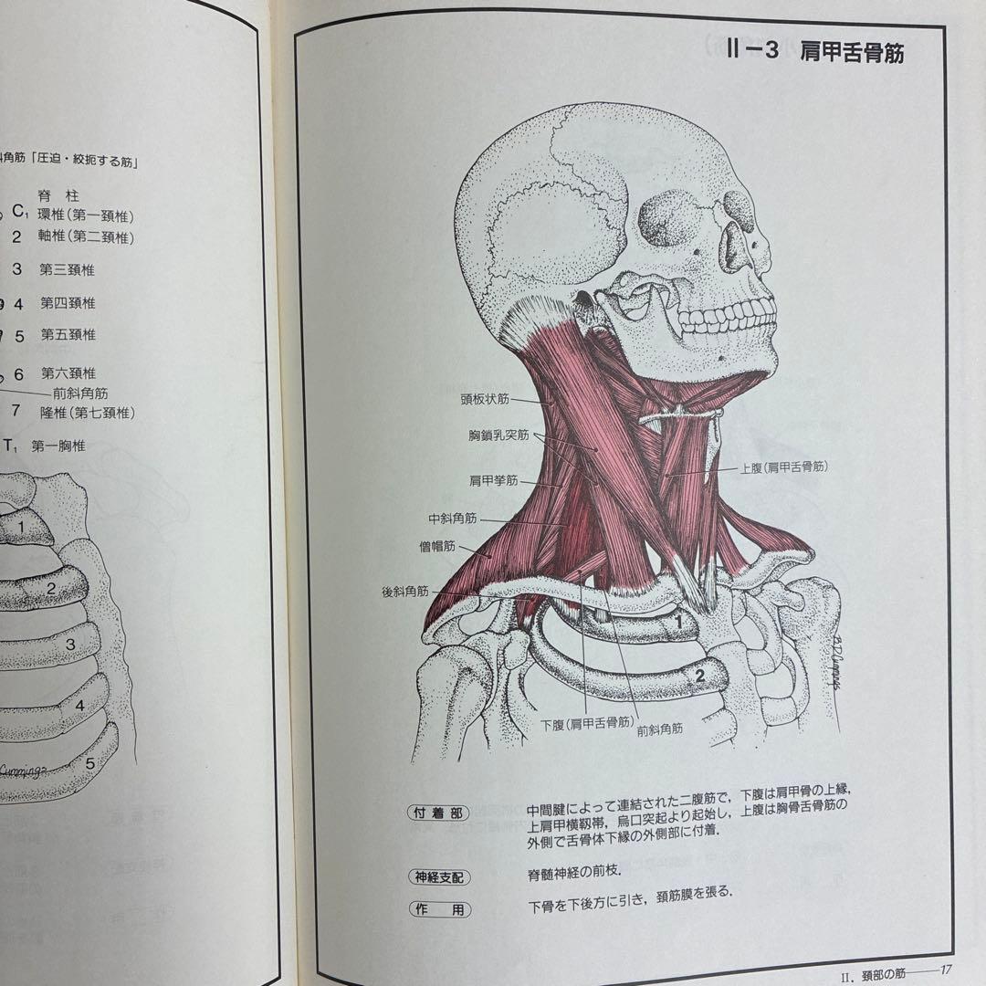 チャートブック　骨格筋の解剖 エンタプライズ　川原群大編著