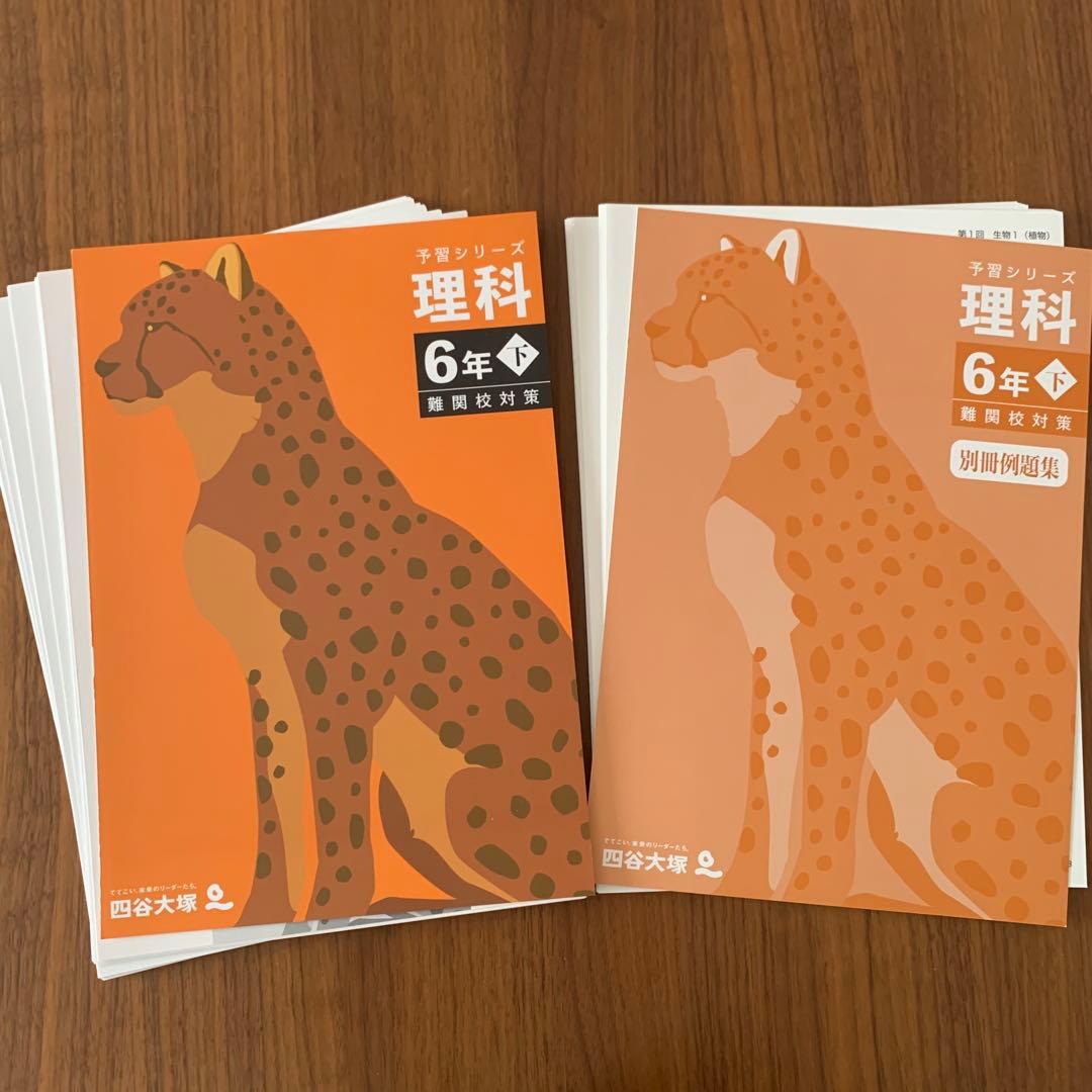 未使用 四谷大塚 2025年版 6年下 難関校対策 セット 予習シリーズ 合不合
