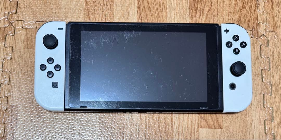 Nintendo Switch あつまれどうぶつの森ver + プロコン・ケース