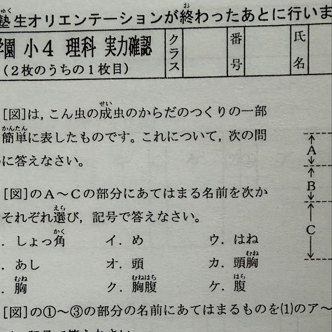 即日発送！原本サイズ⭐︎浜学園 Vクラス 4科目 復習テスト 小4