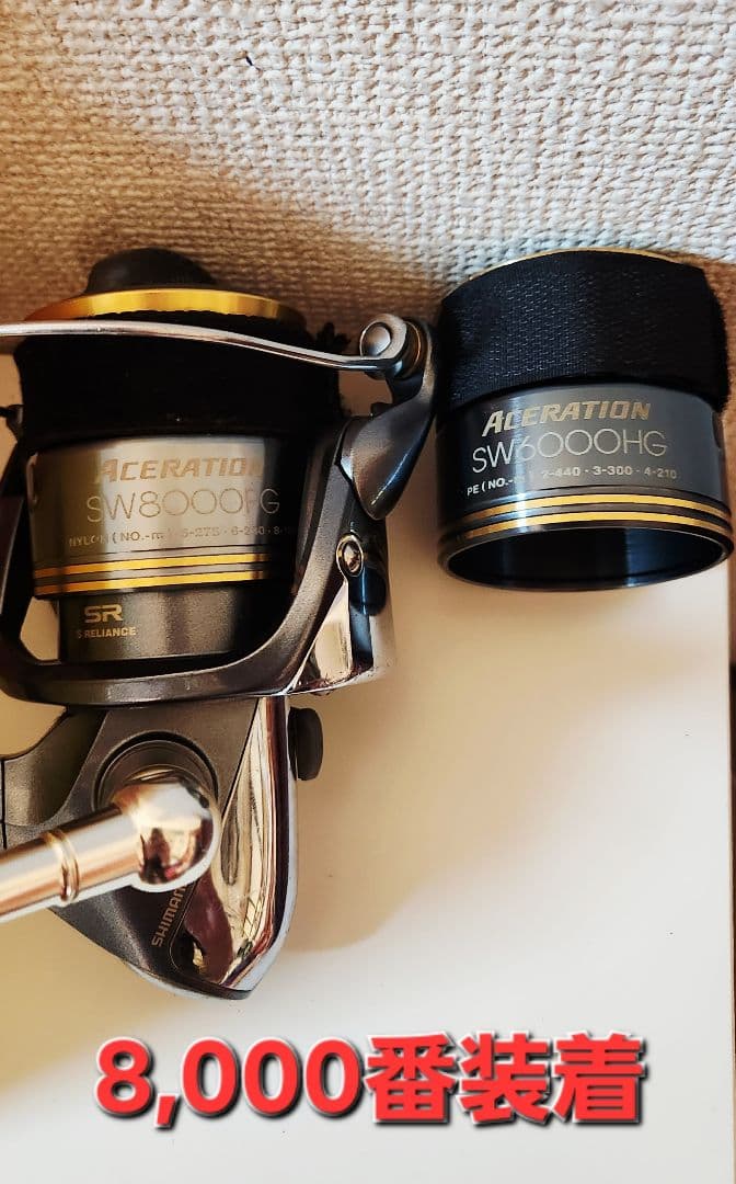 超美品　SHIMANO　ACERATION SW6000HG 8000番セット