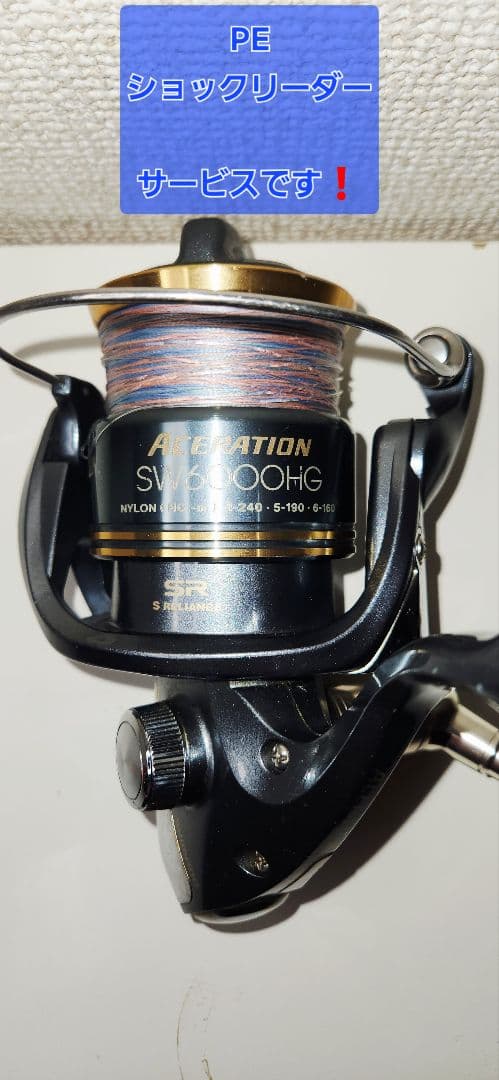 超美品　SHIMANO　ACERATION SW6000HG 8000番セット