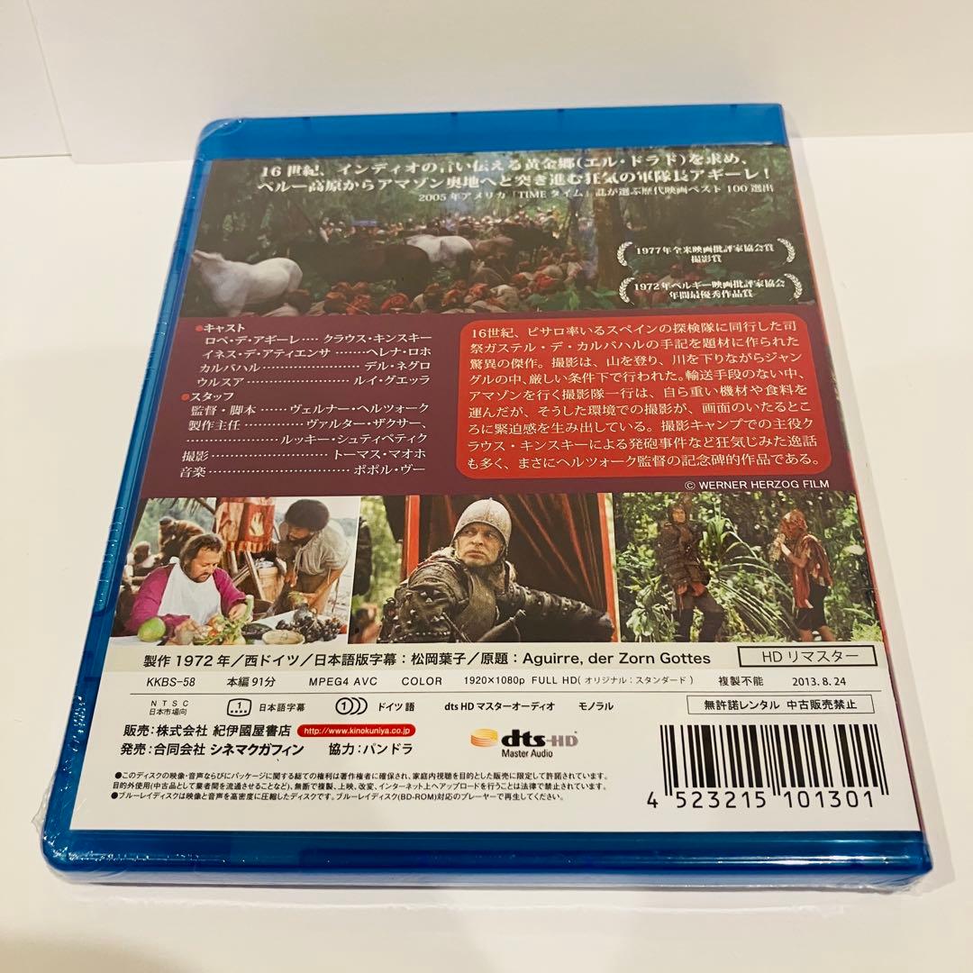 アギーレ 神の怒り('72西独)
