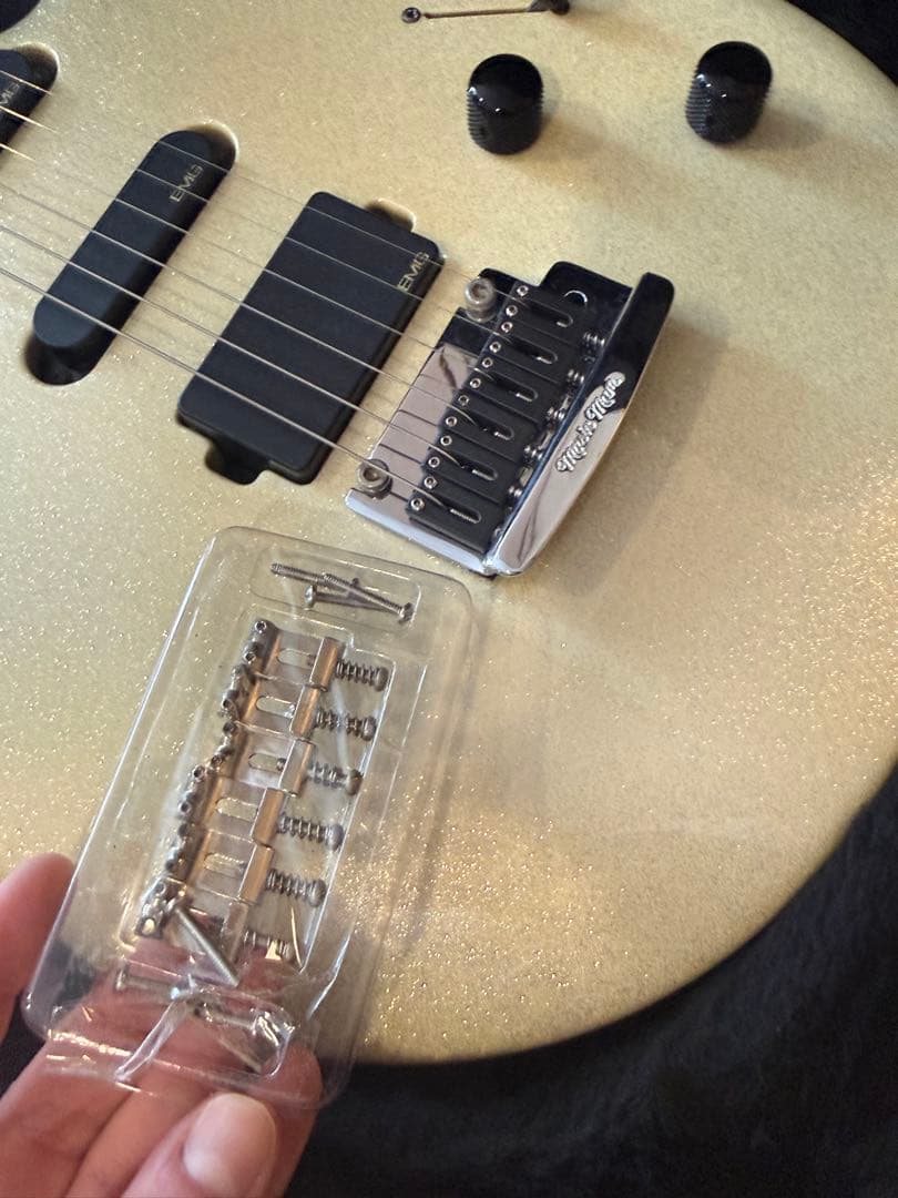 ギター Music Man Luke Steve Lukather