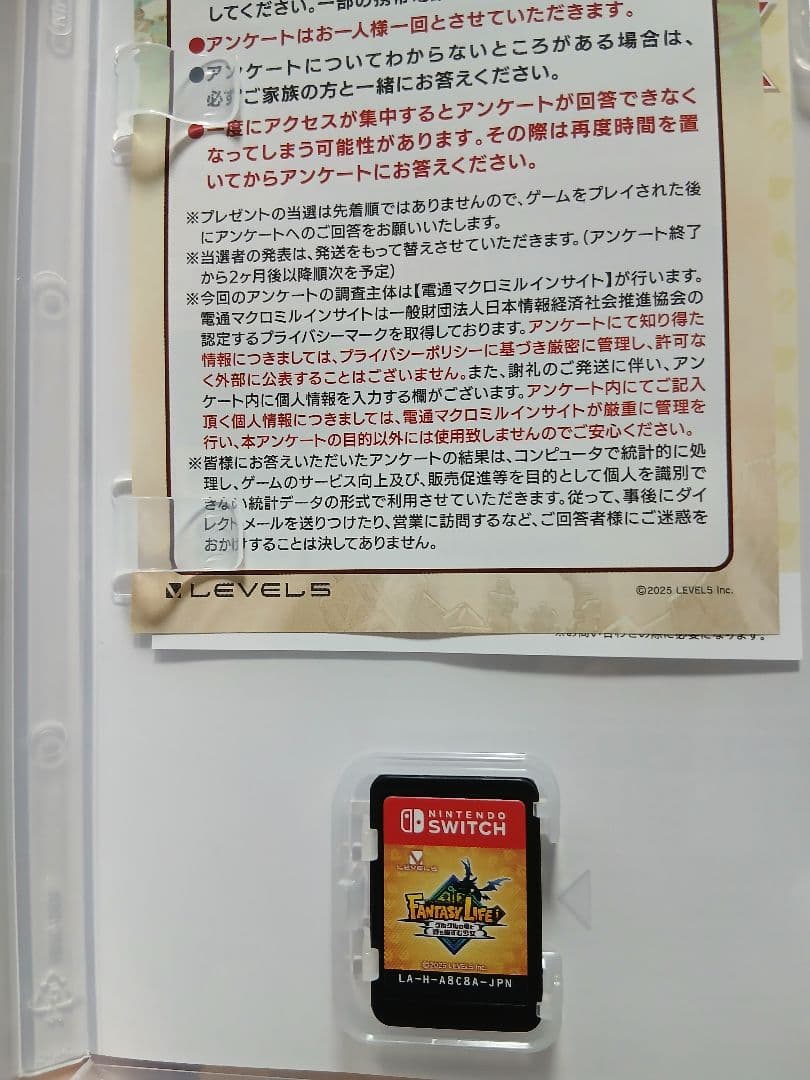 Nintendo Switch FANTASY LIFE