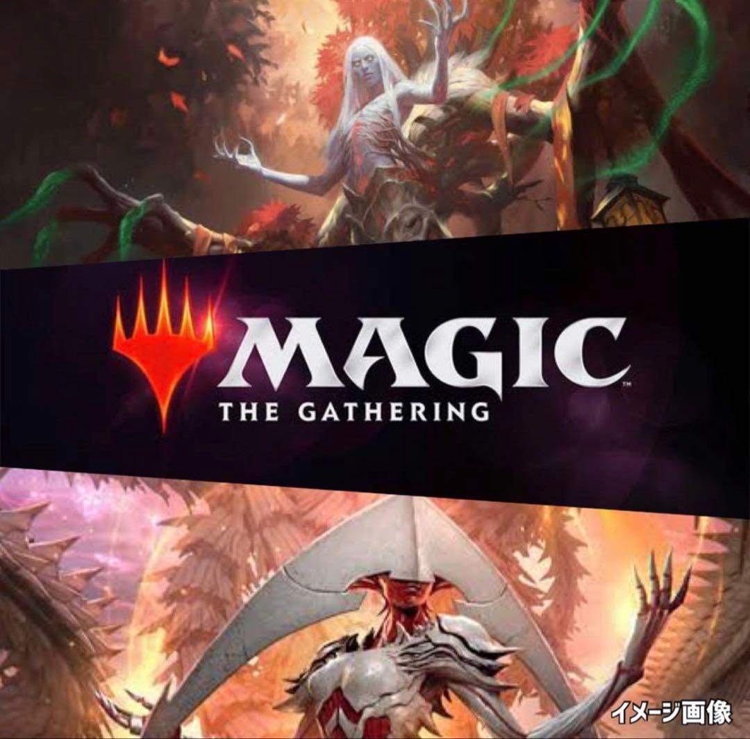 ホームランドLANDS《MTG未開封1BOX》マジックザギャザリング