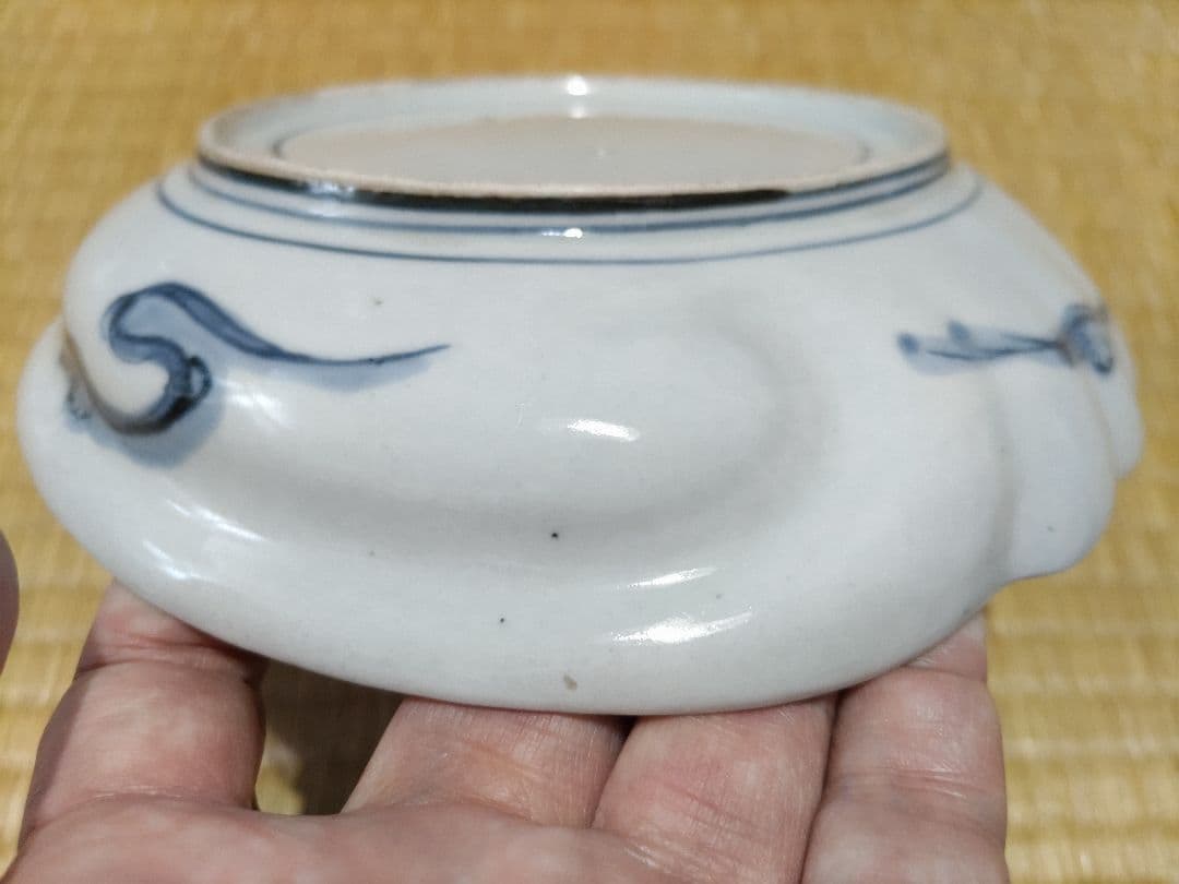 古伊万里　染付　鮑型　変形皿　径19.5×22.3cm　美品