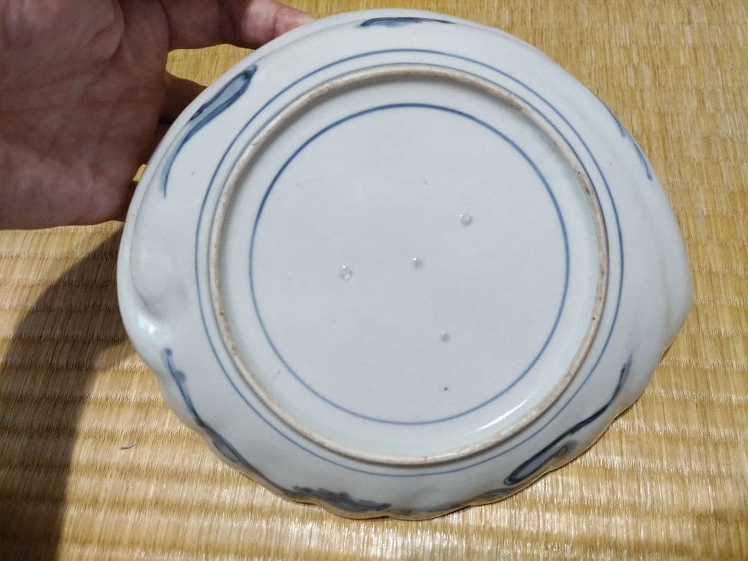古伊万里　染付　鮑型　変形皿　径19.5×22.3cm　美品