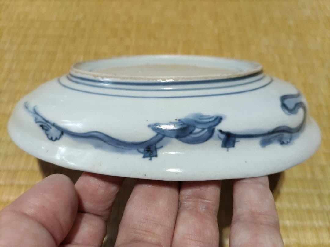 古伊万里　染付　鮑型　変形皿　径19.5×22.3cm　美品
