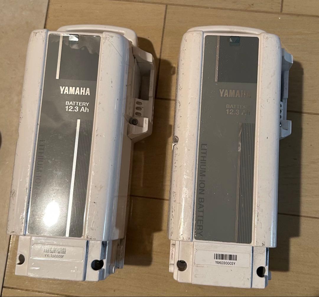 YAMAHA 12.3充電器