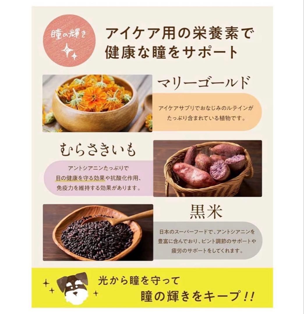 シニアのための　このこのごはん プレミアムドライフード 2袋