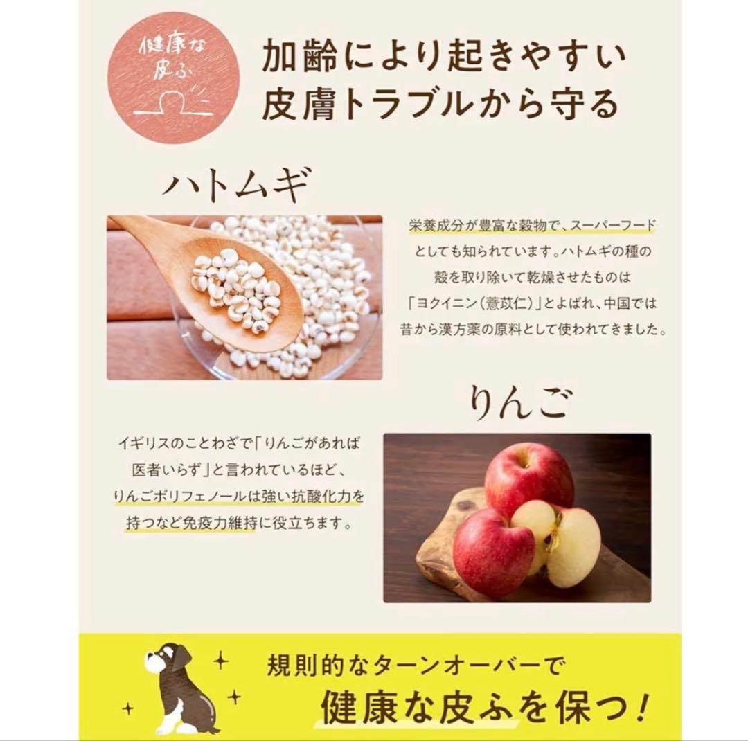 シニアのための　このこのごはん プレミアムドライフード 2袋